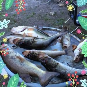 Meet your Posher, Marcus